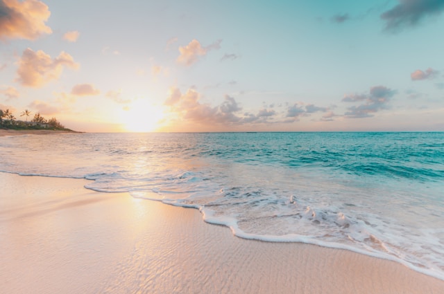 Sea Sunshiine